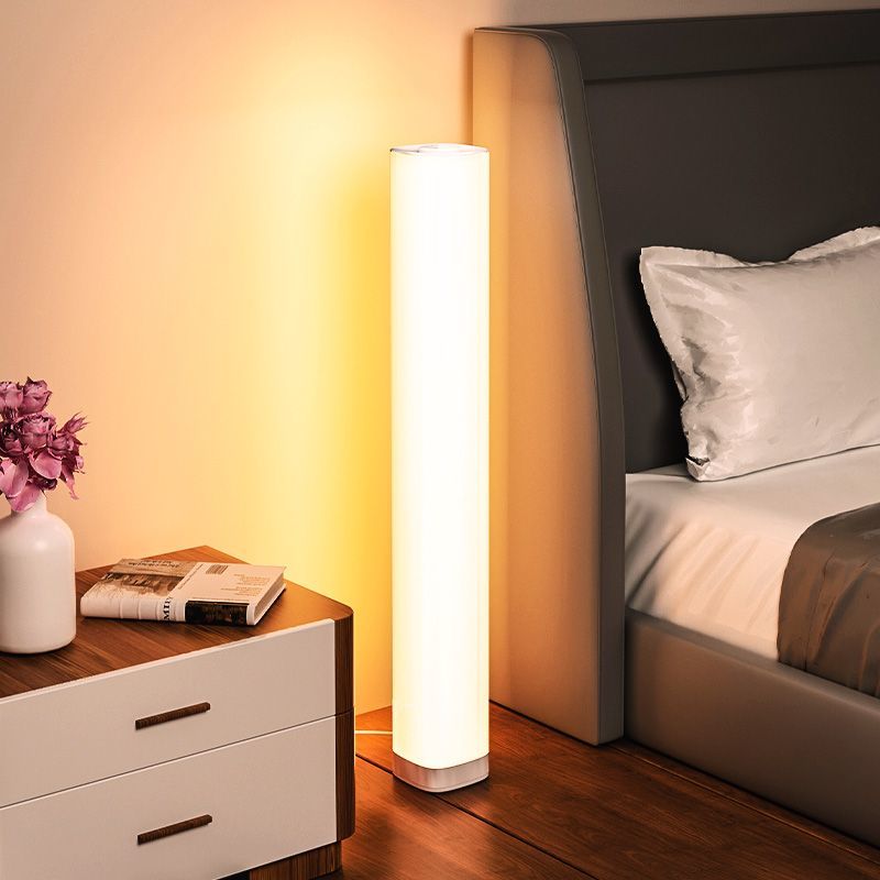 【Soft Light Illuminates the Home】Standing Floor Lamp ins Nordic Minimalist Remote-Control Bedside Lamp for Living Room Sofa and Bedroom Ambient Lighting