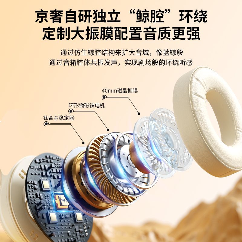 Jingshe Xiaobai Over-Ear Bluetooth Headphones Wireless Earbuds with Microphone for Computer Noise Cancelling Wired Suitable for Sony