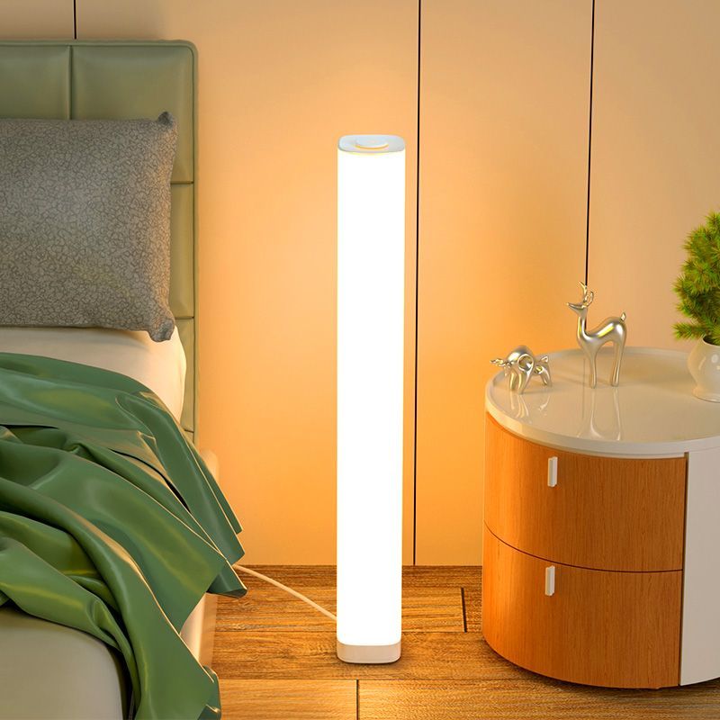 【Soft Light Illuminates the Home】Standing Floor Lamp ins Nordic Minimalist Remote-Control Bedside Lamp for Living Room Sofa and Bedroom Ambient Lighting