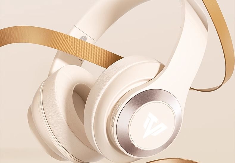 Jingshe Xiaobai Over-Ear Bluetooth Headphones Wireless Earbuds with Microphone for Computer Noise Cancelling Wired Suitable for Sony